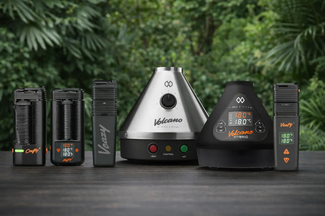 Die besten Storz & Bickel Vaporizer nach Nutzertyp