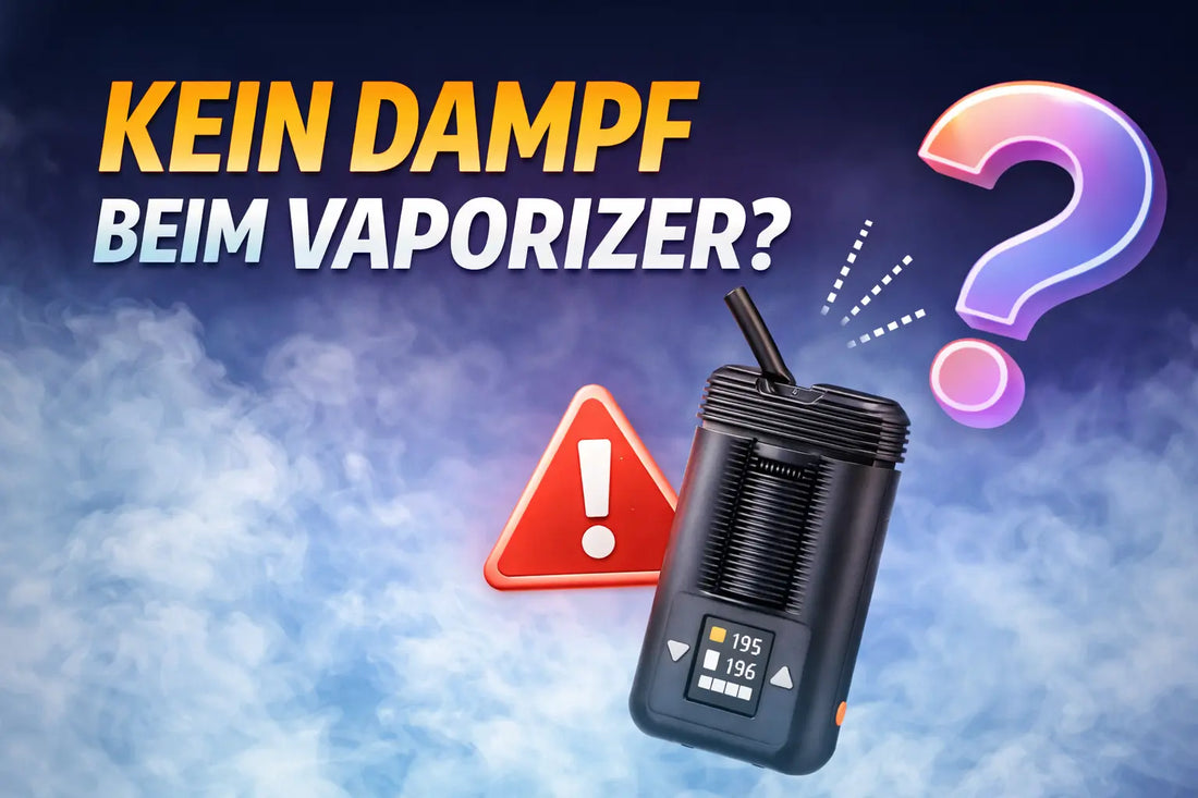 Kein Dampf beim Vaporizer: 12 Ursachen + Fixes