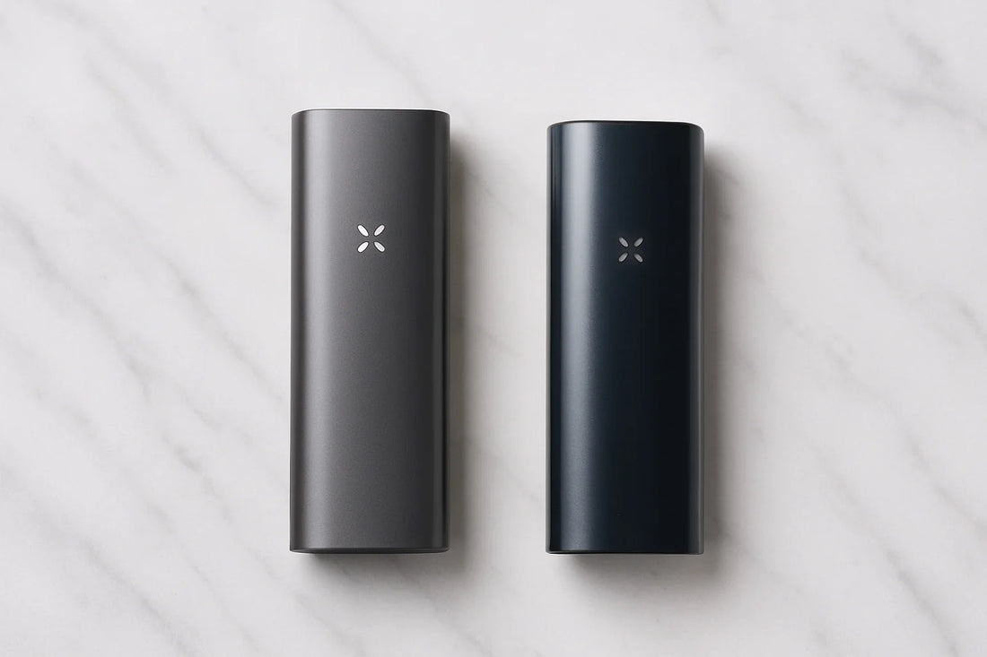 PAX 4 vs. PAX 3 – Welcher passt zu dir?