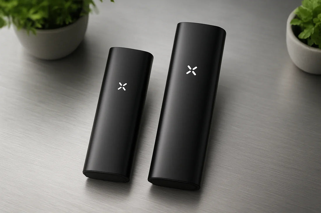 PAX 4 vs. PAX Plus – der direkte Vergleich