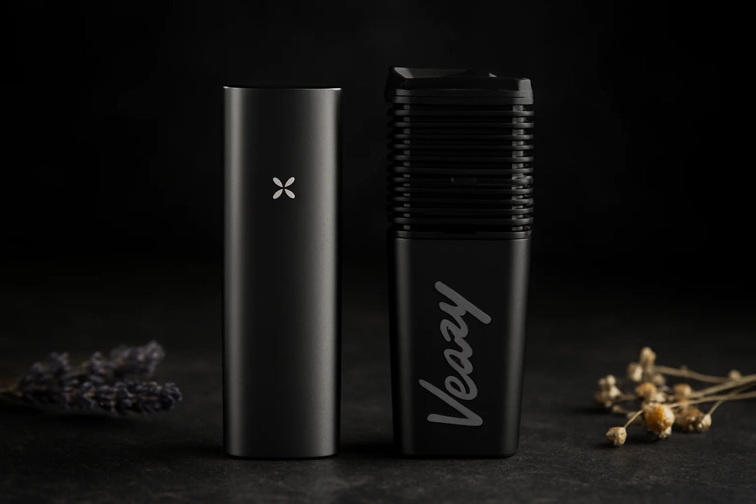 PAX 4 vs. Veazy – Vergleich & Unterschiede